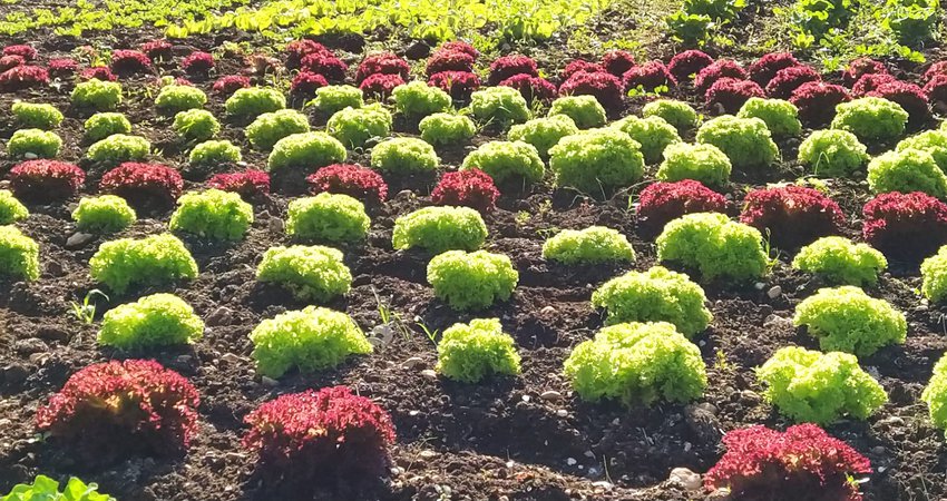 WhatsApp-Image-2020-10-22-at-14.32.59-1